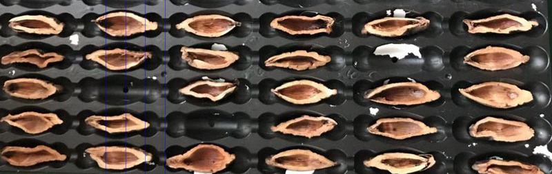 1543822067120870.jpg 2.jpg