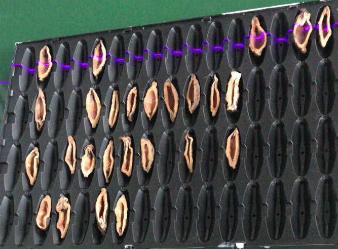 檳榔口味是如何利用高新技術加工的? 檳榔口味是如何利用高新技術加工的?