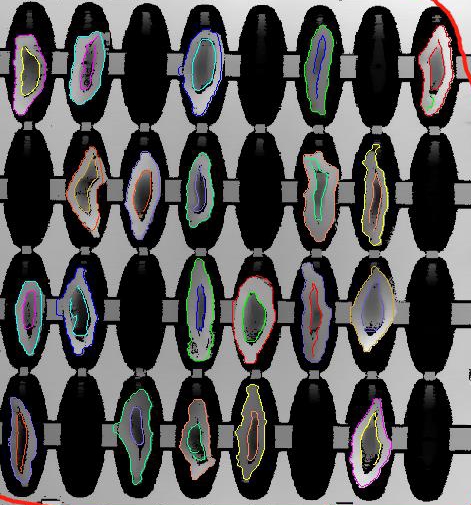 檳榔口味是如何利用高新技術加工的? 檳榔口味是如何利用高新技術加工的?