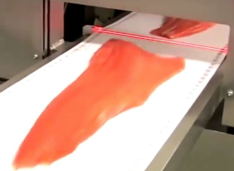 三文魚(yú)加工檢測(cè)方案